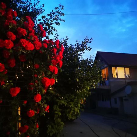Cristalex Villaverde Bucharest Pantelimon Exterior foto
