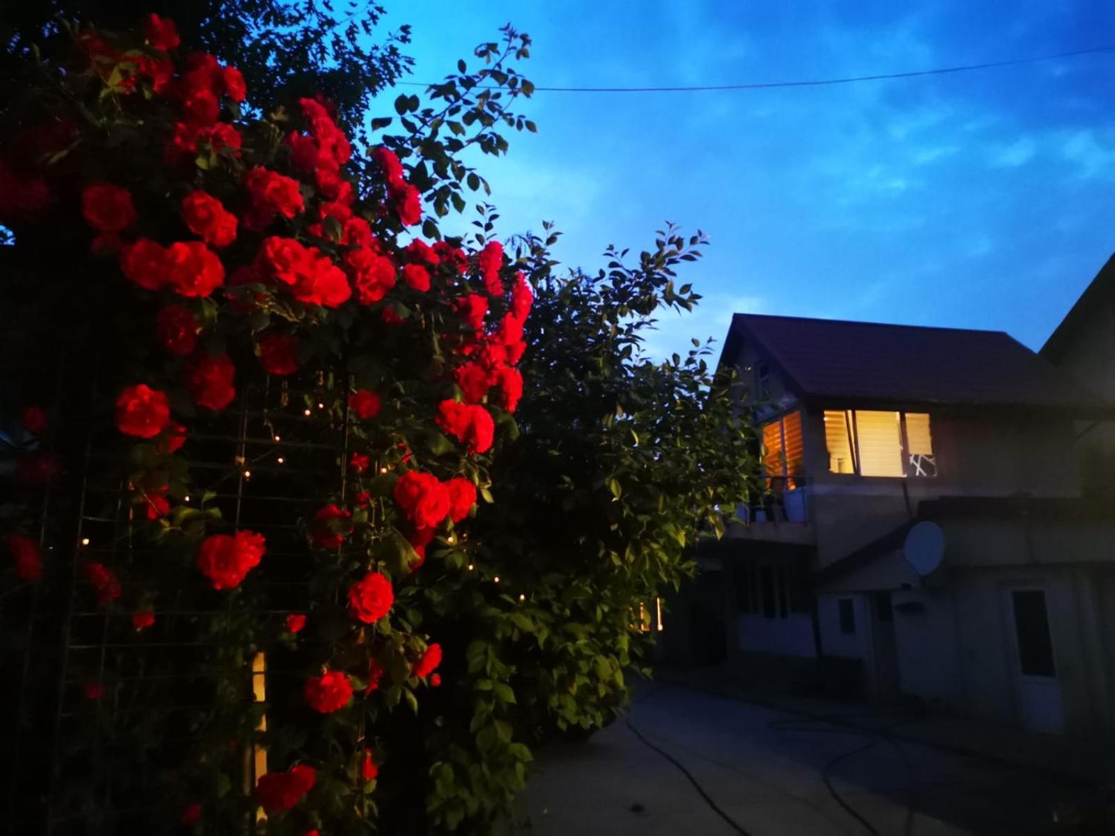 Cristalex Villaverde Bucharest Pantelimon Exterior foto