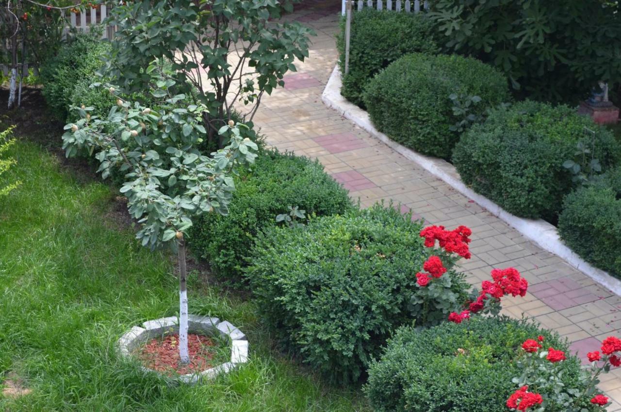 Cristalex Villaverde Bucharest Pantelimon Exterior foto